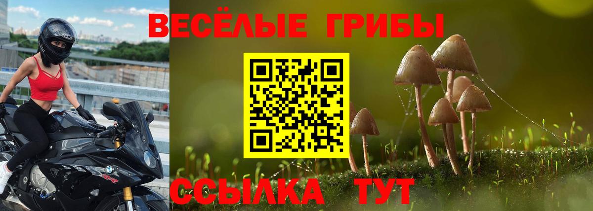Бугульма  Псилоцибиновые грибы GOLDEN TEACHER  Вход с VPN 